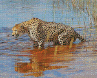 Cheetah In Water Diamond Painting
