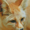 Close Up Fennec Fox Diamond Painting