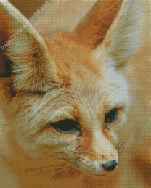 Close Up Fennec Fox Diamond Painting