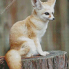 Cute Fennec Fox Diamond Painting