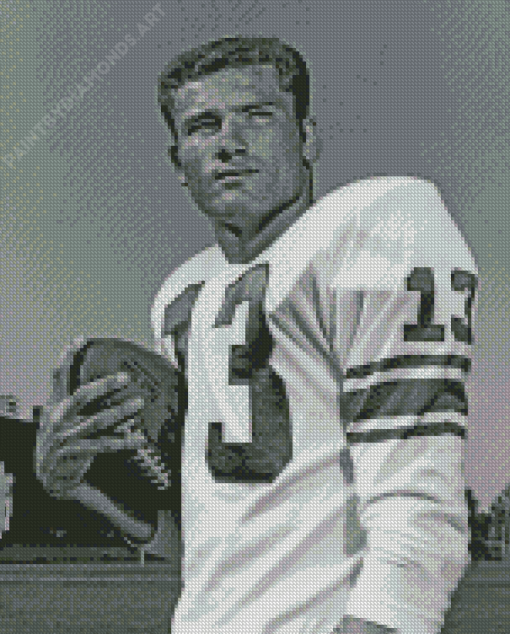 Don Maynard Football Player Diamond Painting