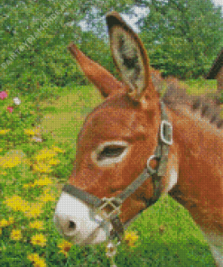 Donkey In Flowers Field Adult Diamond Painting