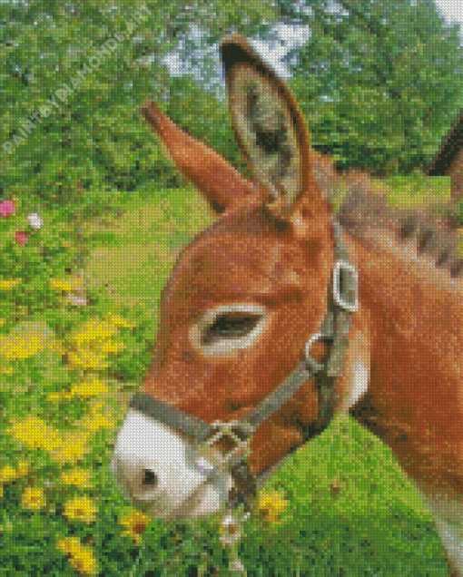 Donkey In Flowers Field Adult Diamond Painting