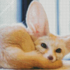 Fennec Fox Sitting Diamond Painting