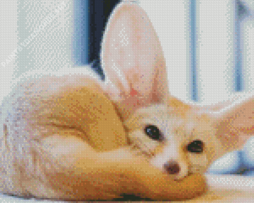 Fennec Fox Sitting Diamond Painting