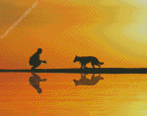 Man And Dog Silhouette Reflection Diamond Painting
