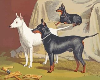 Manchester Terrier With White Terrier Diamond Painting