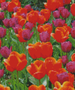 Orange Purple Tulips Diamond Painting