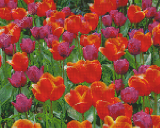 Orange Purple Tulips Diamond Painting