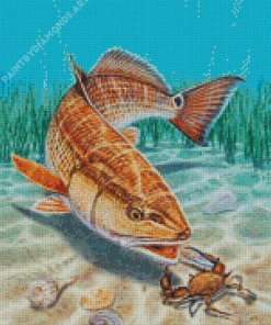 Red Drum Fish Art Diamond Painting