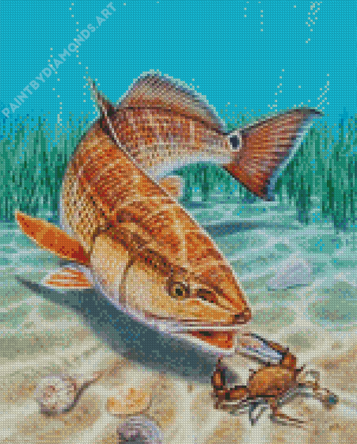 Red Drum Fish Art Diamond Painting