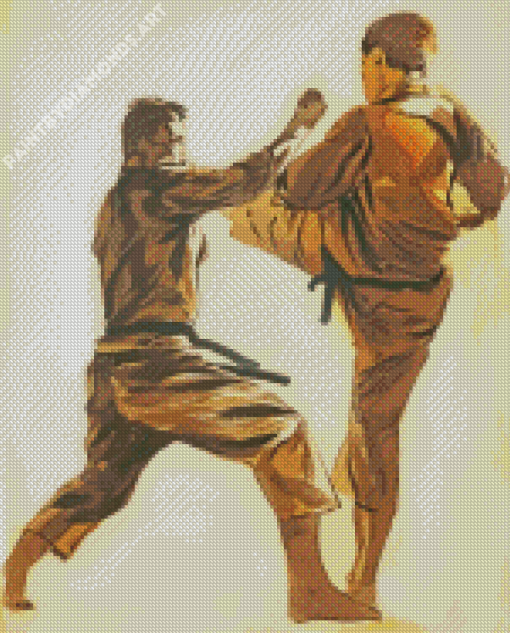 Shotokan Karate Diamond Painting