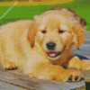 Cute Golden Puppy Diamond Painting