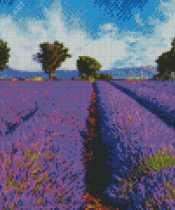 Purple Flower Fields Italy Diamond Painting