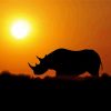 Rhino Sunset Silhouette Diamond Painting