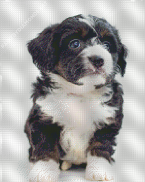 Black And White Bernedoodle Diamond Painting