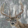 Deer In Snow Animal Diamond Painting