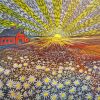 Field Of Daisies At Sunrise Diamond Painting