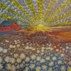 Field Of Daisies At Sunrise Diamond Painting