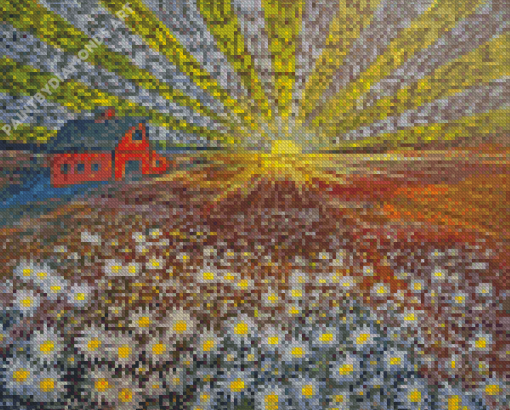 Field Of Daisies At Sunrise Diamond Painting