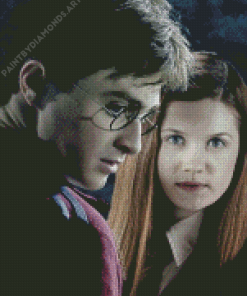 Harry Potter And Ginny Diamond Painting