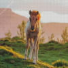 Horse Foal At Sunset Diamond Painting