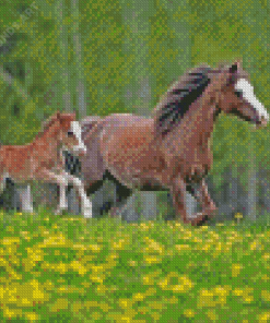 Little Welsh Pony With His Mother Diamond Painting