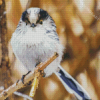 Long Tailed Tit Bird Diamond Painting