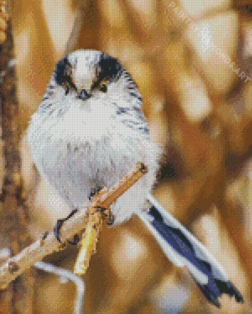 Long Tailed Tit Bird Diamond Painting