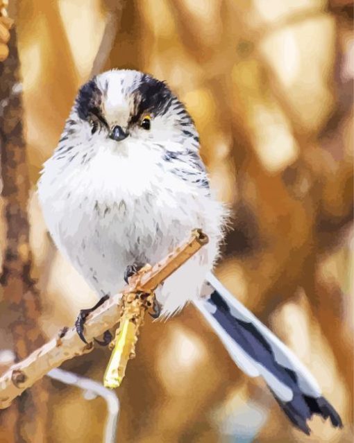 Long Tailed Tit Bird Diamond Painting