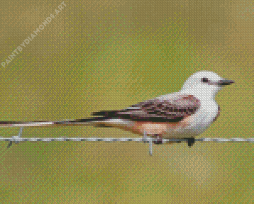 Oklahoma Flycatcher Bird Diamond Painting