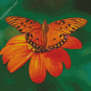 Orange Flower With Butterfly Diamond Painting