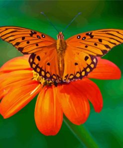 Orange Flower With Butterfly Diamond Painting
