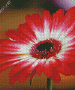 Red Gerbera Daisy Flowering Plant Diamond Painting