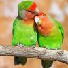 Rosy Faced Lovebirds On Branch Diamond Painting
