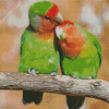 Rosy Faced Lovebirds On Branch Diamond Painting