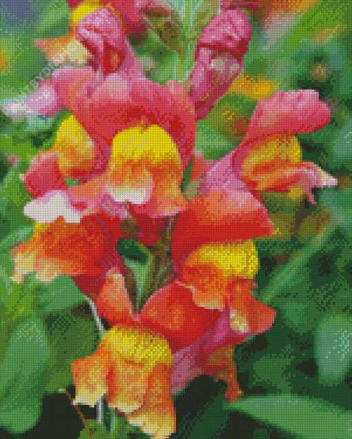 Snapdragons Diamond Painting