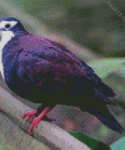 The Purple Dove Diamond Painting