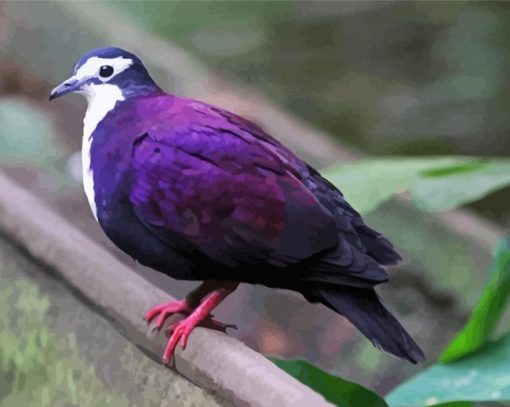 The Purple Dove Diamond Painting