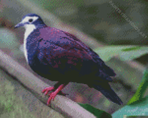 The Purple Dove Diamond Painting