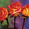 Three Red And Yellow Roses Diamond Painting