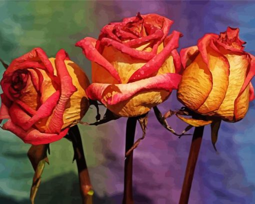 Three Red And Yellow Roses Diamond Painting