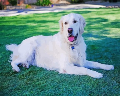 White Golden Retriever Dog Diamond Painting