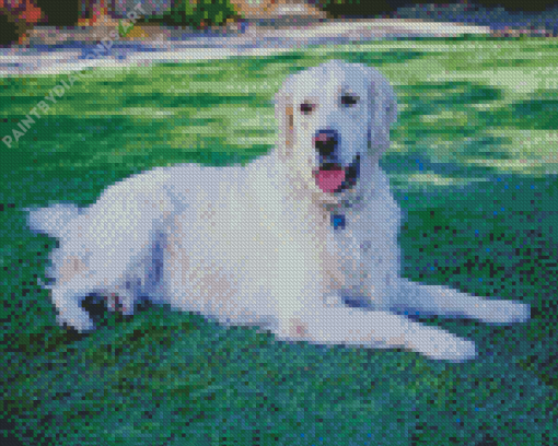 White Golden Retriever Dog Diamond Painting