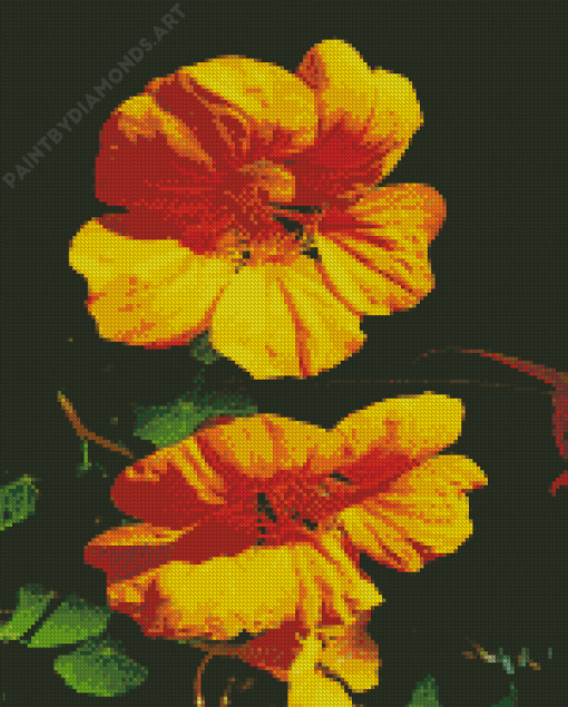 Yellow Nasturtium Flowers Diamond Painting