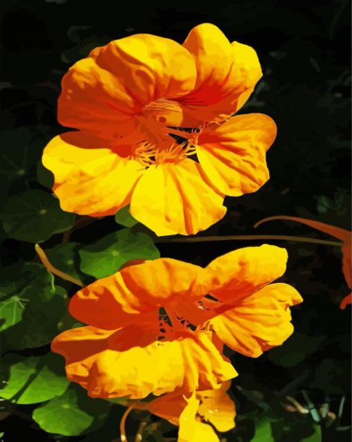 Yellow Nasturtium Flowers Diamond Painting