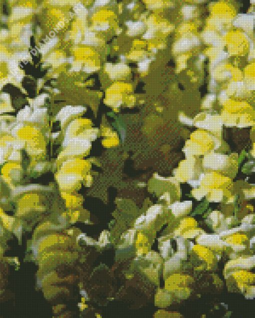 Yellow Snapdragons Diamond Painting