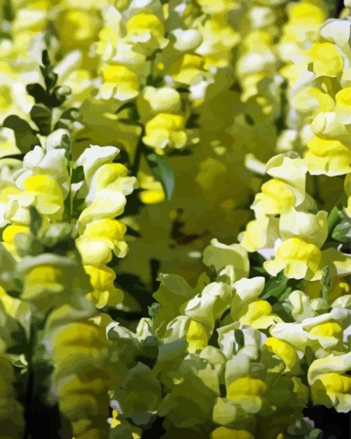 Yellow Snapdragons Diamond Painting