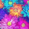 Aesthetic Colorful Daisy Diamond Painting