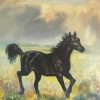Black Alone Horse Art Diamond Painting